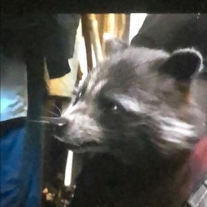 Meet your Posher, Michael